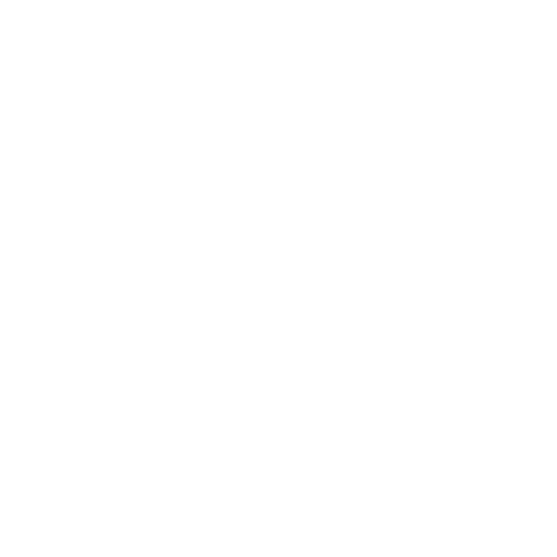 CSO Master